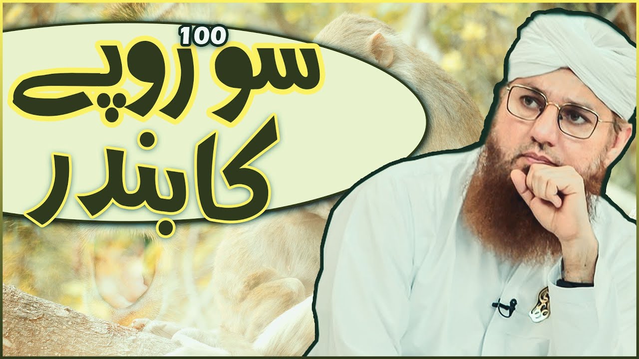 Special Discount Bandar Par | Dilchasp Waqia | Amazing Monkey Story | Maulana Habib Attari